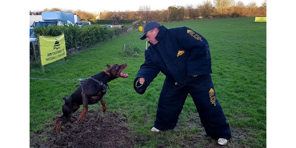 Buying the Right Dog Bite Suit (Complete Guide)